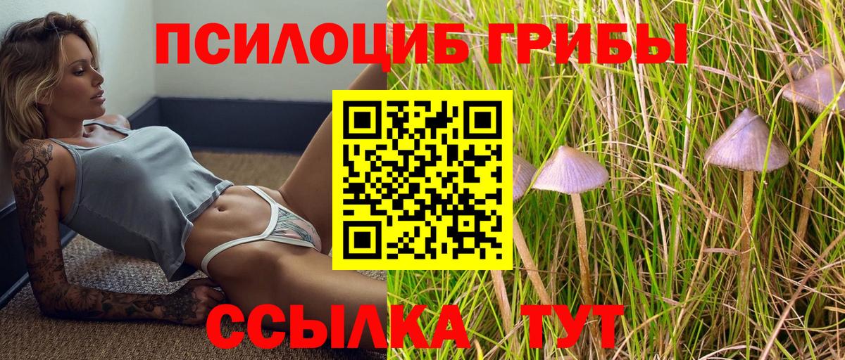 Псилоцибиновые грибы прущие грибы  Вход с VPN  купить   Урус-Мартан 